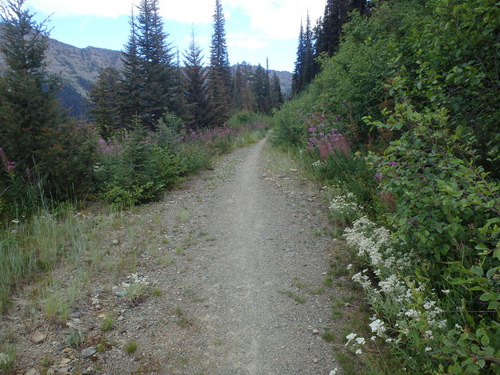 GDMBR: Climbing on FR-4353 Single Track, Richmond Peak, MT.